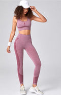 Women's Seamless Mesh Athletic Set - Quick-Dry Sports Bra & Leggings